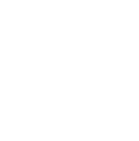Team Disrupt