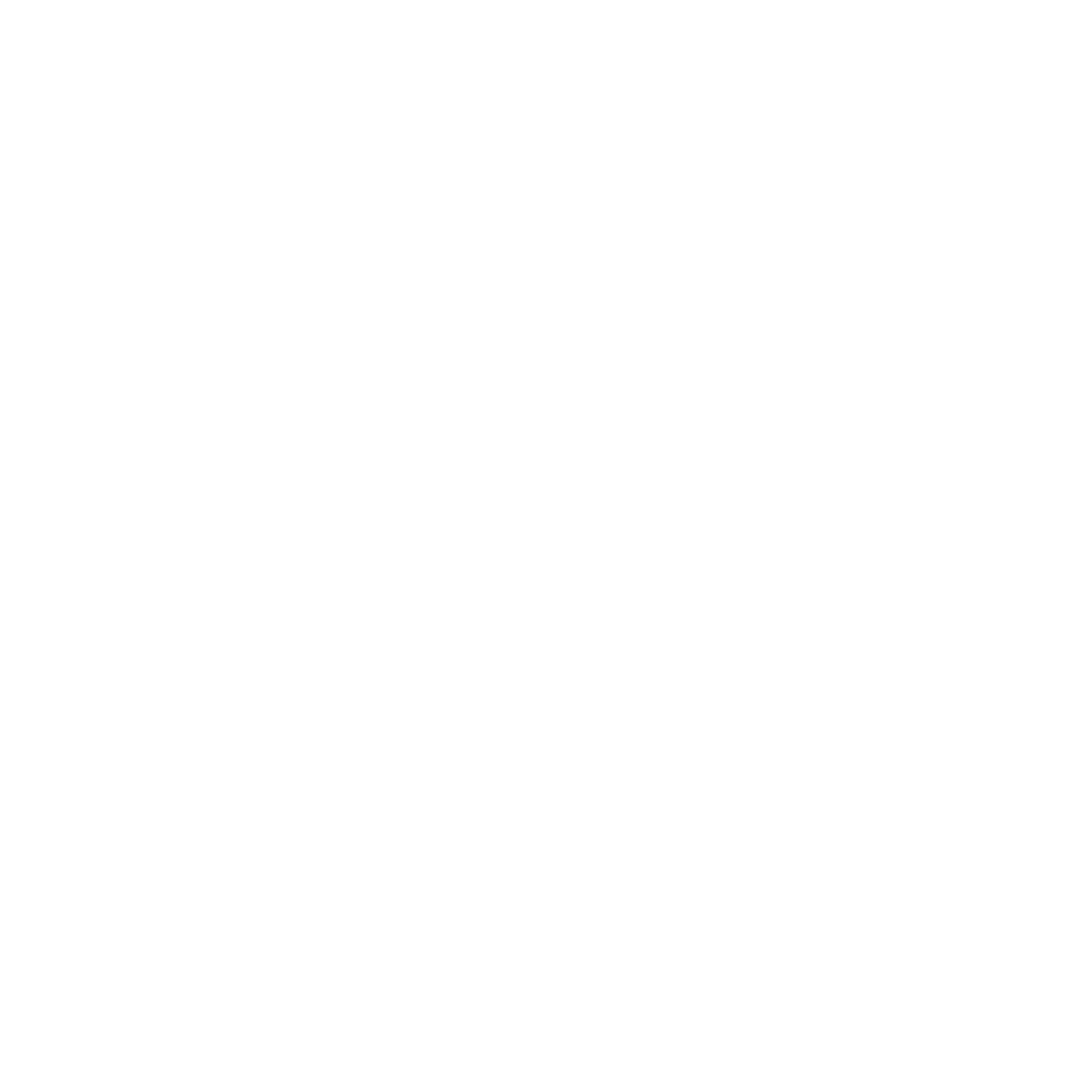 Logo Hussars