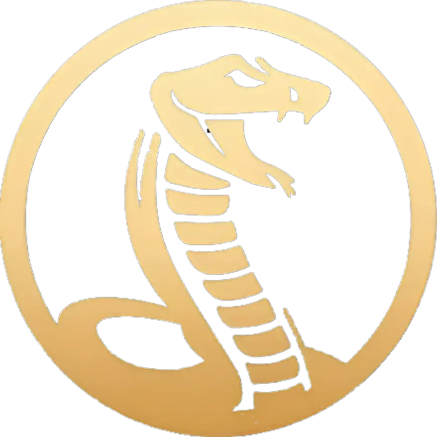 Cobra Team