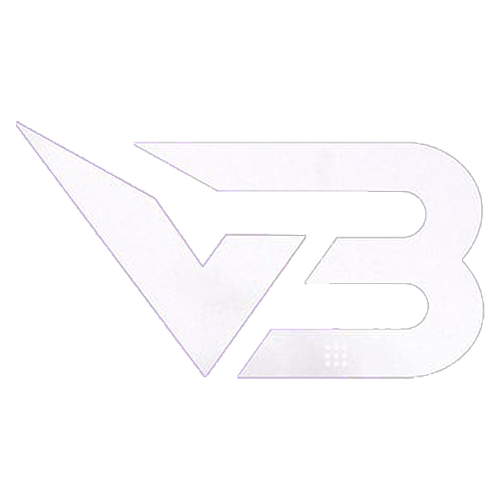 Logo ViBe Gaming