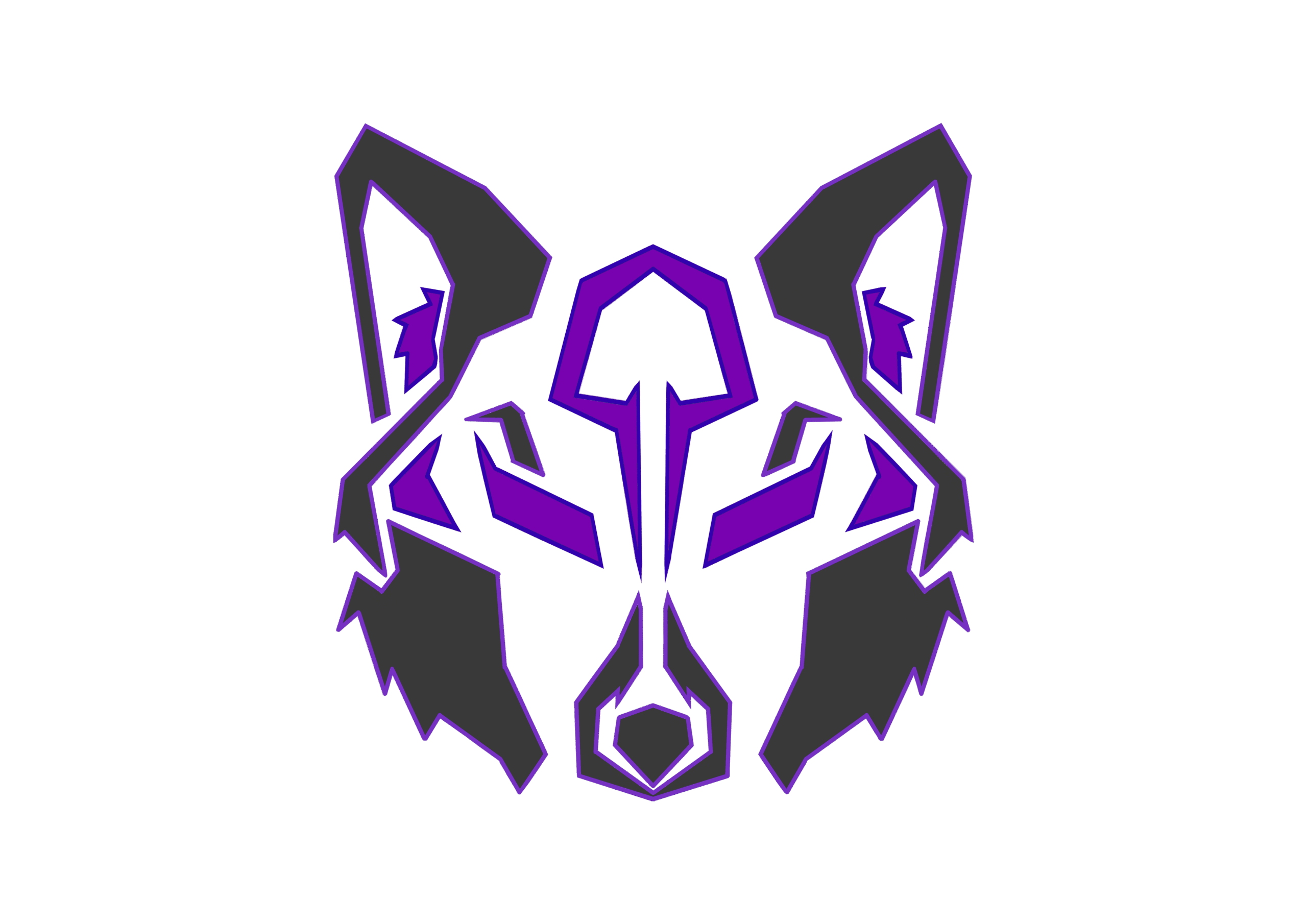 Logotyp NPK Esport