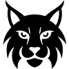 LYNX E-SPORTS